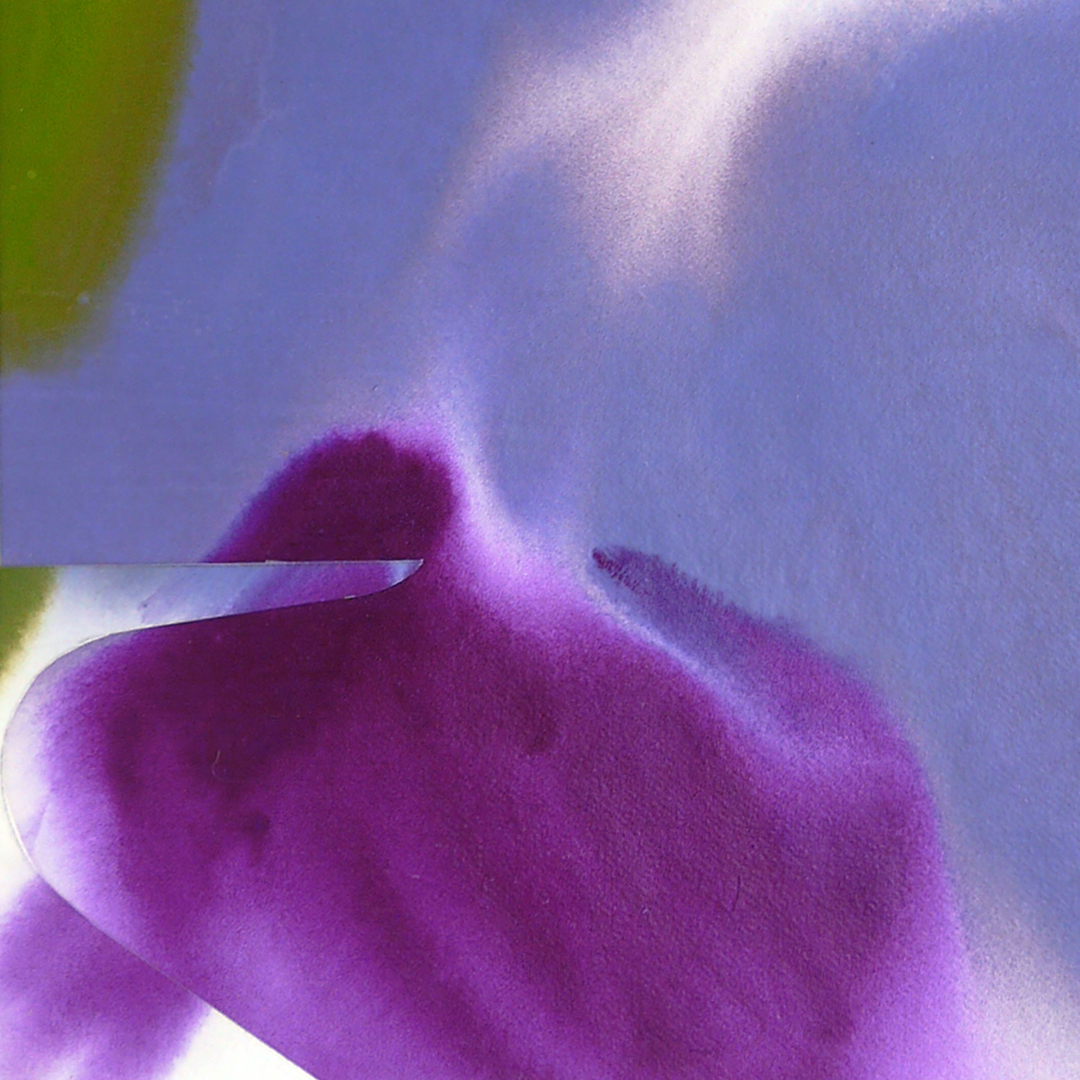 Christine Soyez - Fleur cache
