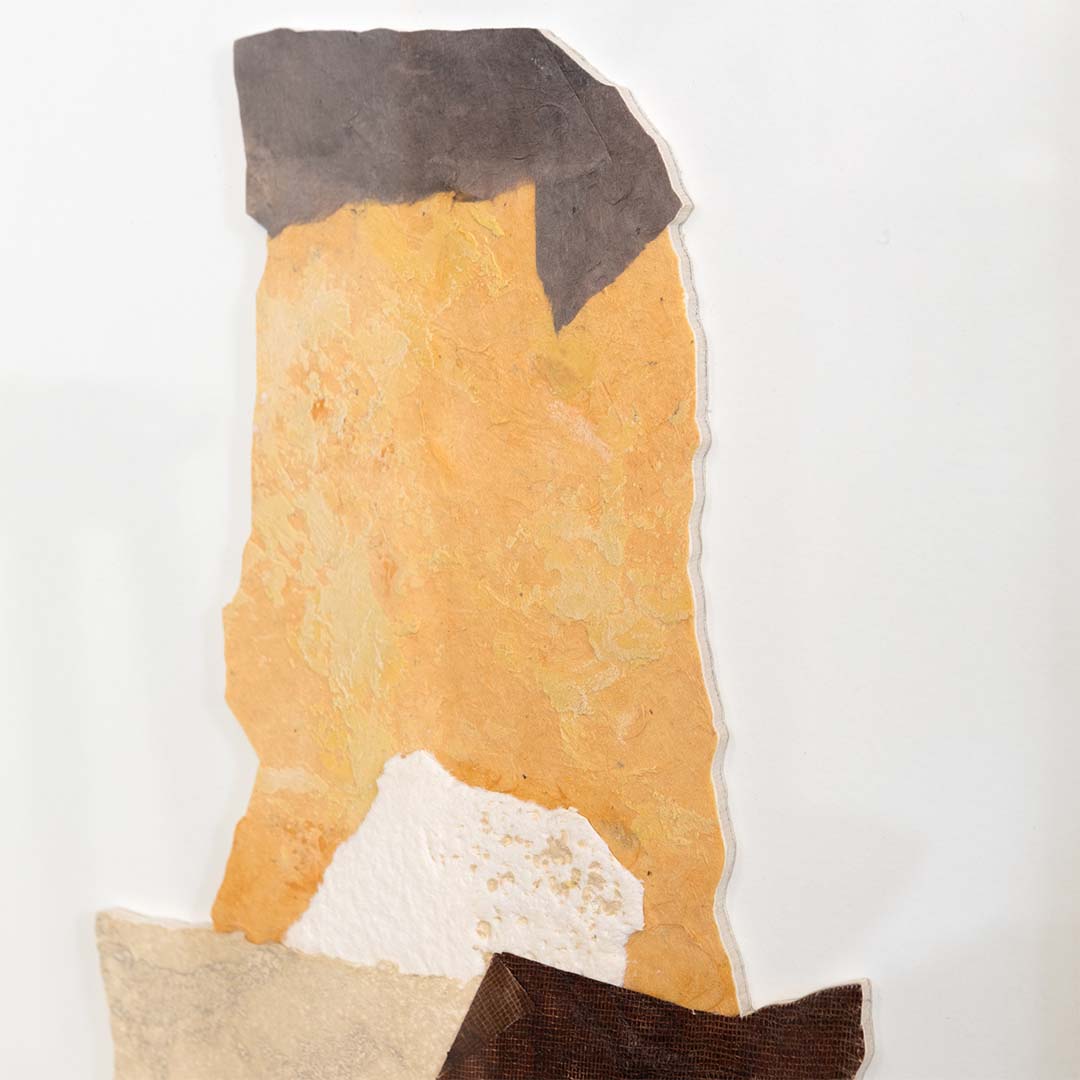 Giovanni Gorini - Parcelles d'ombres zoom