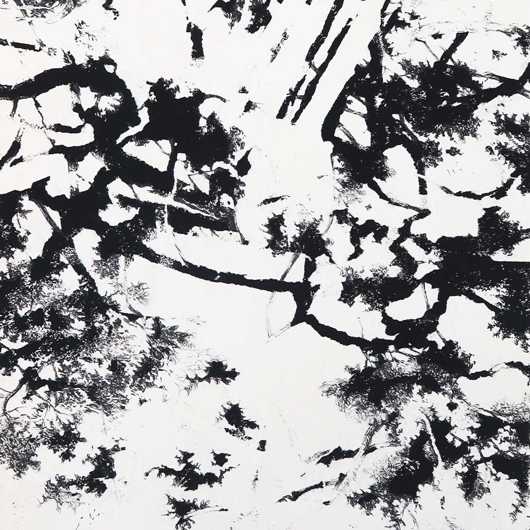 Laurent Karagueuzian - Prolifération 3