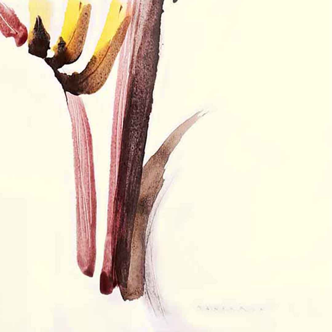 VEGETALE N°1377 - Anne Mandorla